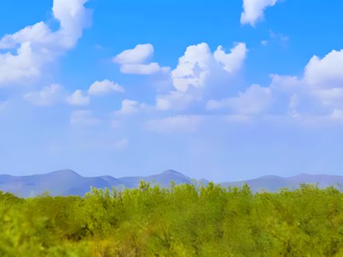 Unleash Your Oddball-Genius in TX : Van Horn : Culberson County : Texas