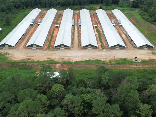 New 6 House Broiler Poultry Farm : Martin : Stephens County : Georgia
