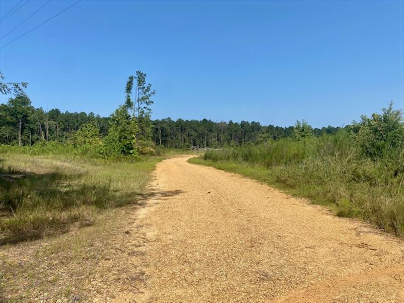 40 Acres on Robert Jones Rd, Summi : Summit : Pike County : Mississippi