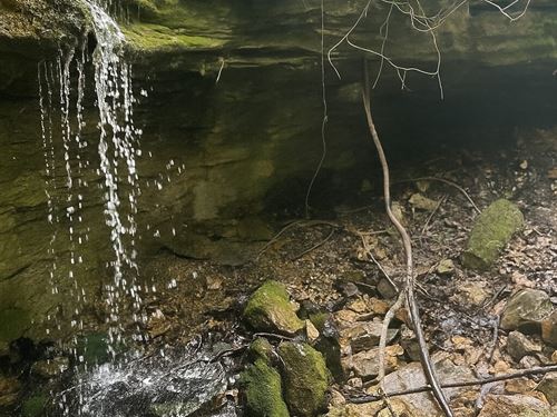 8 Timbered Acres : Falcon : Wright County : Missouri