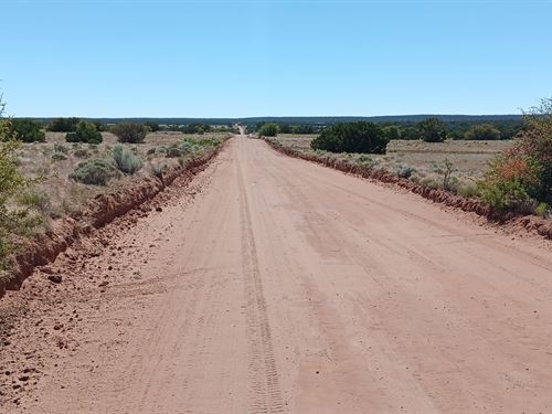 Check Out 1.06 Acres Near Sanders : Saint Johns : Apache County : Arizona