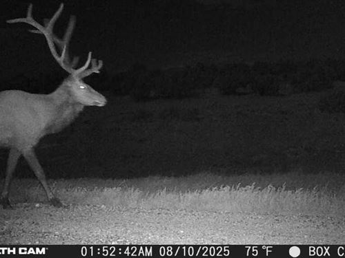 Hwy 55 South 1040 : Mountainair : Torrance County : New Mexico