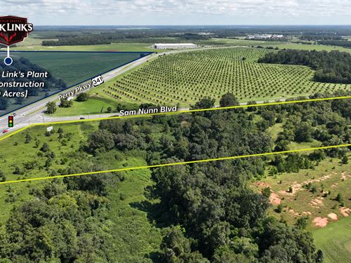 Houston Springs Commercial Dev : Perry : Houston County : Georgia