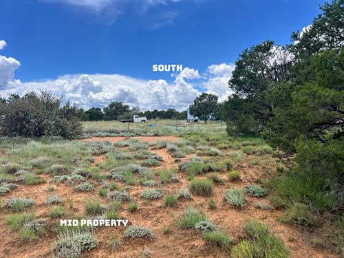 A Place to Call Your Own : Concho : Apache County : Arizona