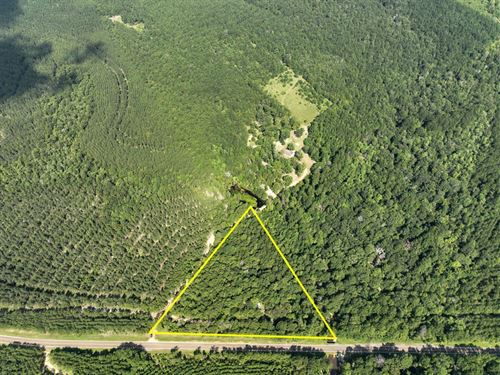 4 Acres, T-1 FM 2939 287056 : Newton : Texas