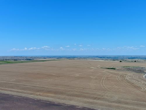 Dehning Dryland Farm : Lewellen : Garden County : Nebraska