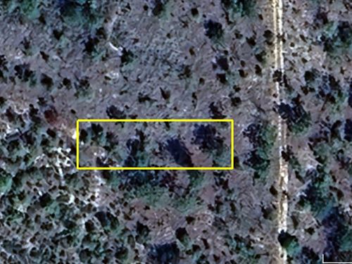 Florida Recreational Property : Interlachen : Putnam County : Florida