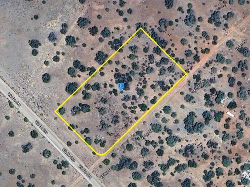 Stunning Views, Just $462.46 Down : Seligman : Yavapai County : Arizona