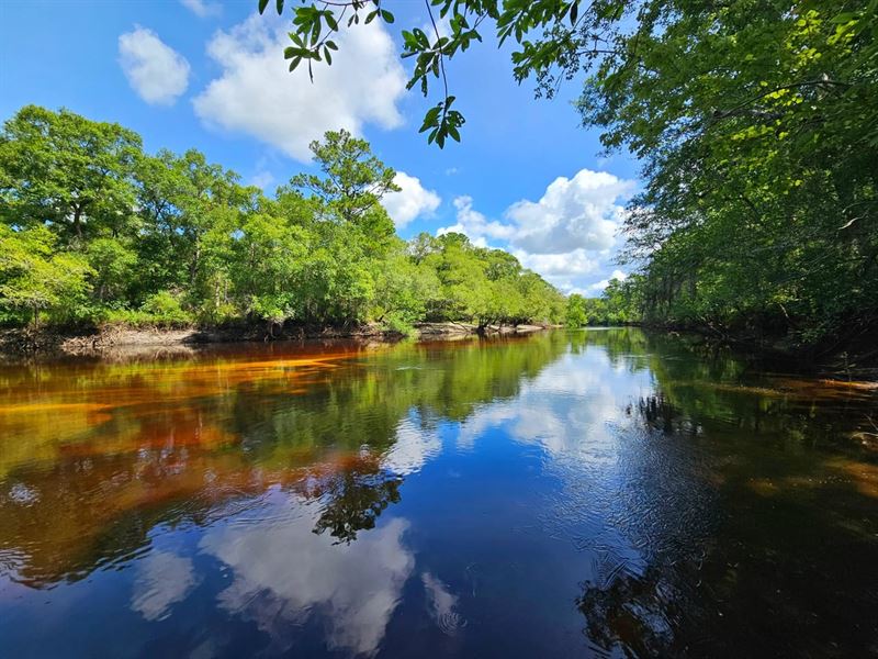 142.69 Ac on Satilla River in Br, Land for Sale in 381840