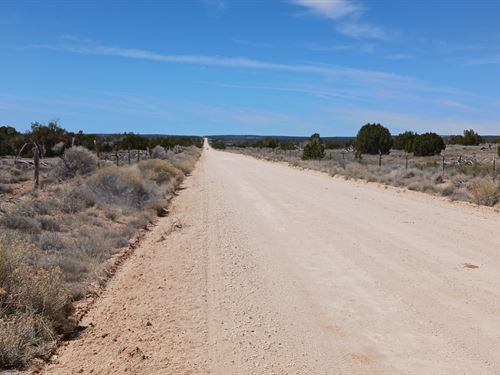 1.25 Ac Near Witch Wells, Perfect : Saint Johns : Apache County : Arizona