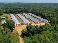 Decatur Broiler Farm : Decatur : Newton County : Mississippi