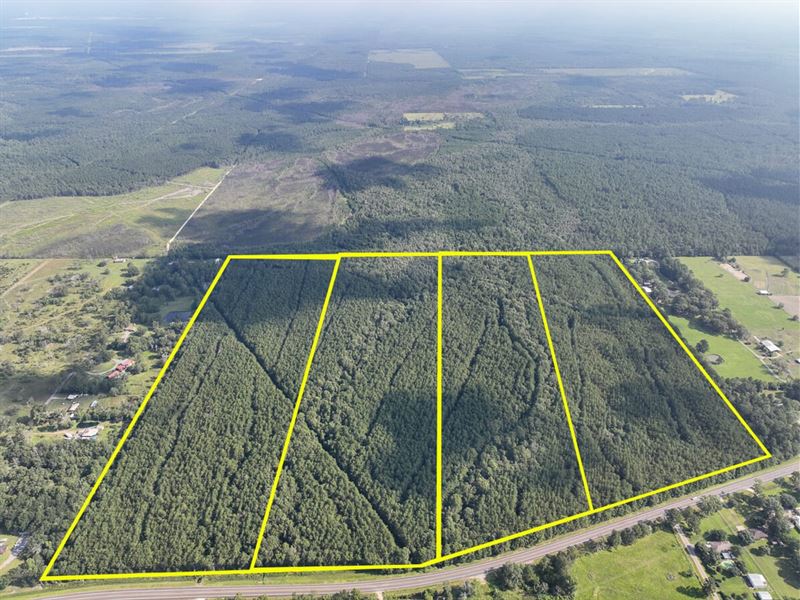 33 Acres, T-3 FM 2802 287077 : Vidor : Orange County : Texas