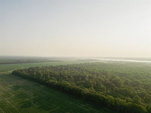 136 Acres In Warren County, MS : Vicksburg : Warren County : Mississippi