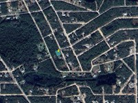 Wooded Lot with Power : Interlachen : Putnam County : Florida