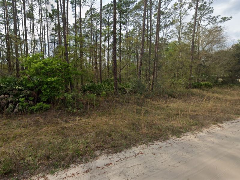 .43 AC Wooded in Putnam Cty : Interlachen : Putnam County : Florida