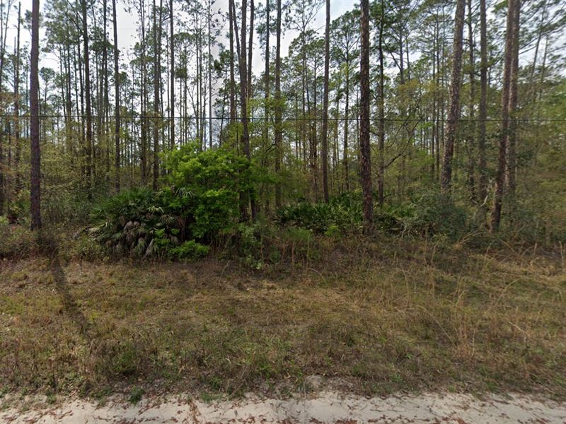 .43 AC Wooded in Putnam Cty : Interlachen : Putnam County : Florida