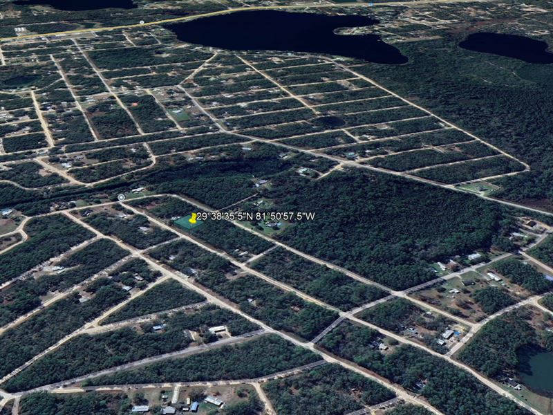 Natural FL with Power : Interlachen : Putnam County : Florida