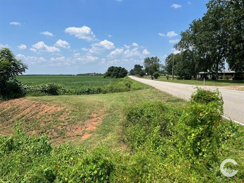 226+/- Acre Investment Opportunity : Brewton : Escambia County : Alabama