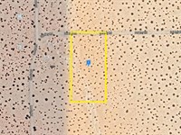 A Viable Choice : Twentynine Palms : San Bernardino County : California