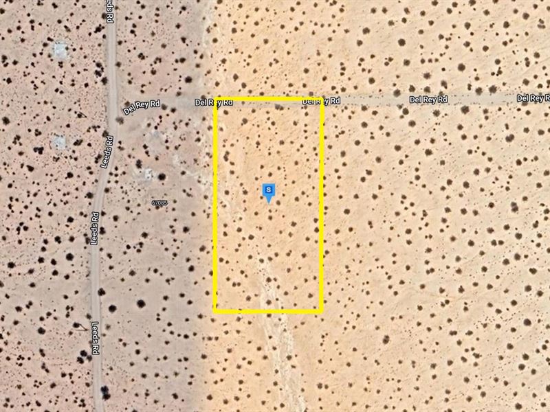 A Viable Choice : Twentynine Palms : San Bernardino County : California