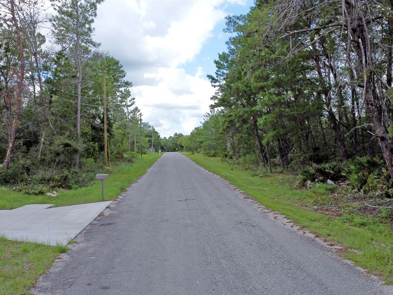 Corner Lot in Ocklawaha, FL : Ocklawaha : Marion County : Florida