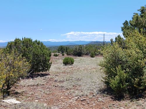 Escape To The Cooler Side of AZ : Show Low Pines : Apache County : Arizona