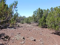 Discover Your 1.16 Acre RV Campsite : Concho : Apache County : Arizona