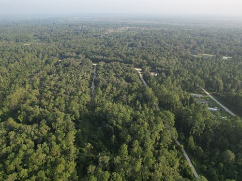 .26 Acres Near FL Lake : Satsuma : Putnam County : Florida