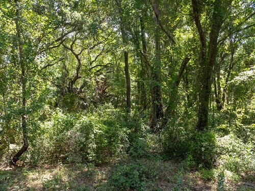 Own a Piece of Florida's Future : Ocklawaha : Marion County : Florida