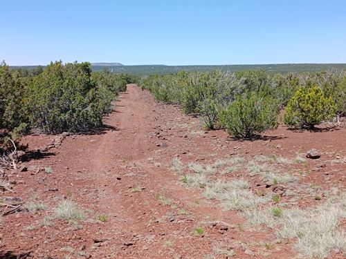 Expand Your Land Portfolio : Concho : Apache County : Arizona
