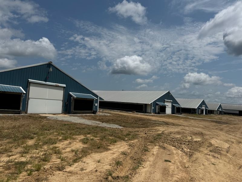 8 House Broiler Farm in AR : Rector : Clay County : Arkansas