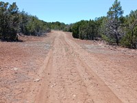 Unleash Your RV Adventure in AZ : Concho : Apache County : Arizona