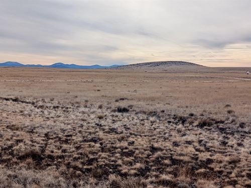 Land with Breathtaking Views in AZ : Concho : Apache County : Arizona