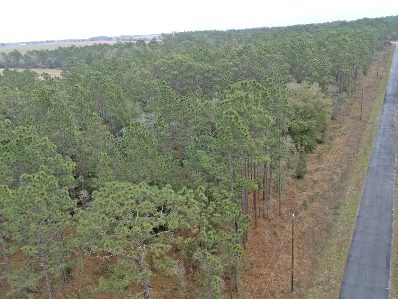 Remarkable 0.24 Acre Land in FL : Ocala : Marion County : Florida