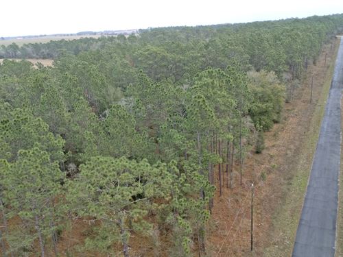 Remarkable 0.24 Acre Land in FL : Ocala : Marion County : Florida