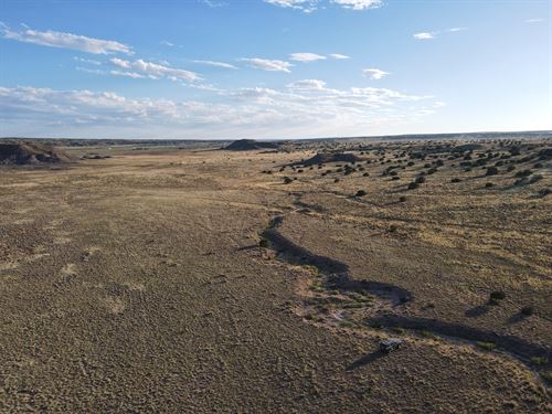 Land for Outdoor Enthusiasts : Sanders : Apache County : Arizona