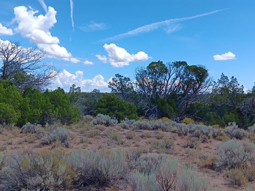 Sep Sale 1.24 Acres in AZ $25 Down : Chambers : Apache County : Arizona