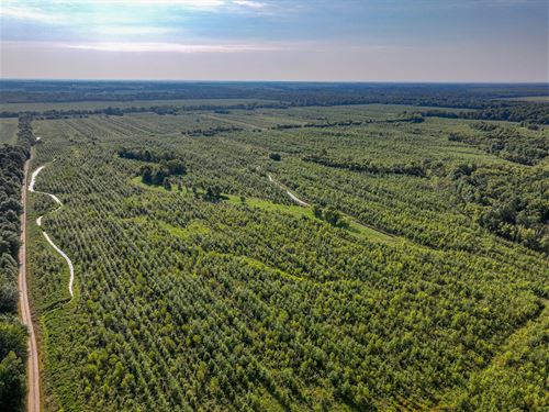 Clay County 2,014 : Clay City : Clay County : Illinois