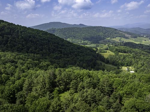 11.96 Unrestricted Acres : Independence : Grayson County : Virginia