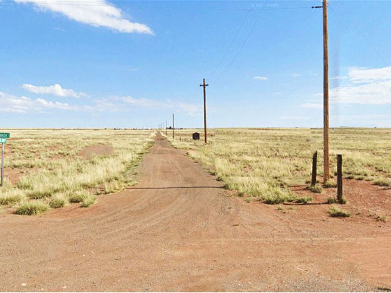 Blank Canvas Sun Valley, AZ : Sun Valley : Navajo County : Arizona