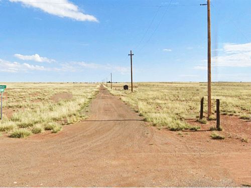 Blank Canvas Sun Valley, AZ : Sun Valley : Navajo County : Arizona