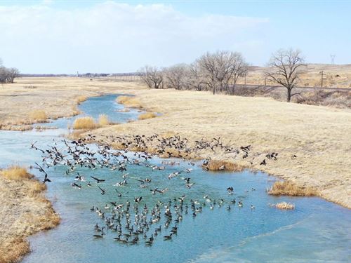 592 Acres, Keith County, Alkali : Roscoe : Keith County : Nebraska