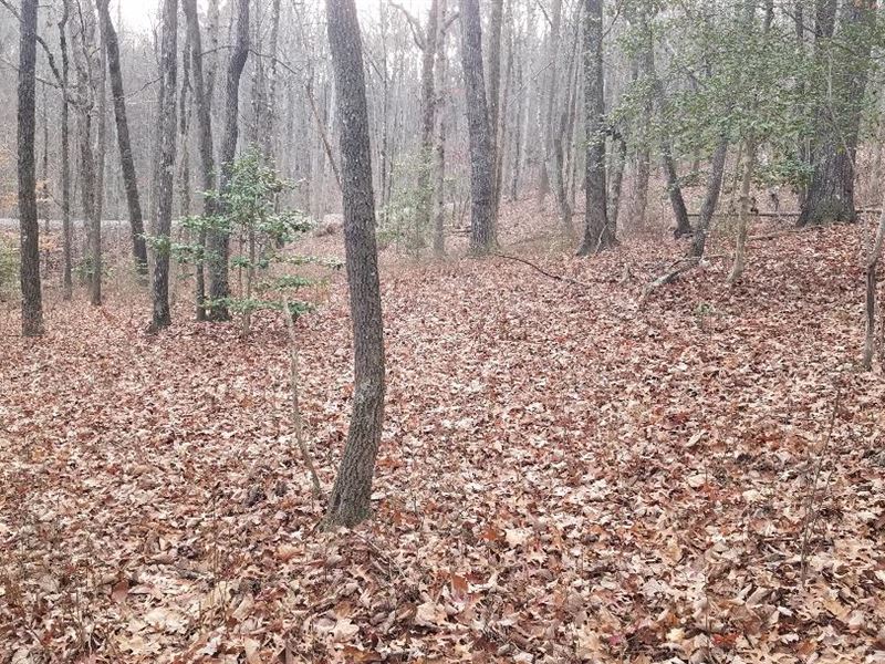 Mountain Land, Gated, Wooded : Dunlap : Sequatchie County : Tennessee