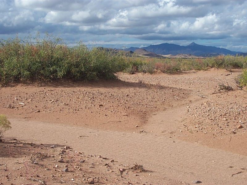 1 Acre in Luna County, NM : Deming : Luna County : New Mexico