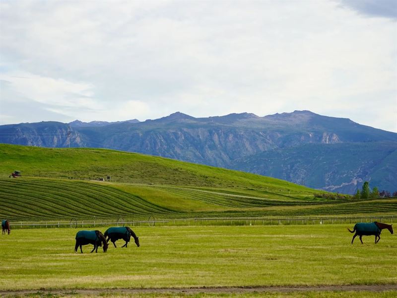 Clearwater West Big Horn Equine : Sheridan : Sheridan County : Wyoming