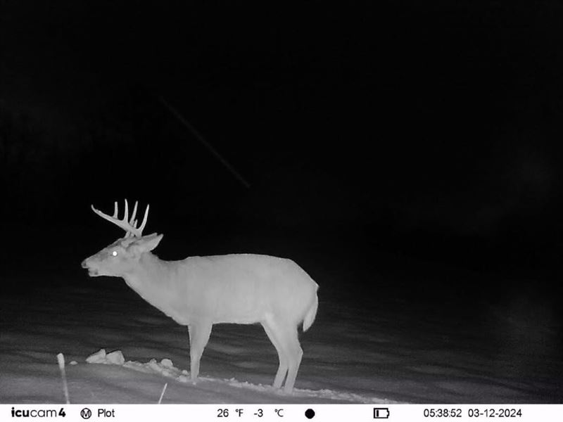 24.77 Acres / Berrien County : Watervliet : Berrien County : Michigan