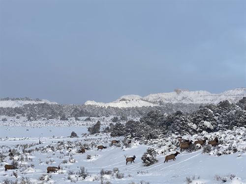 Regina Ranch East 50 Ac : Regina : Sandoval County : New Mexico