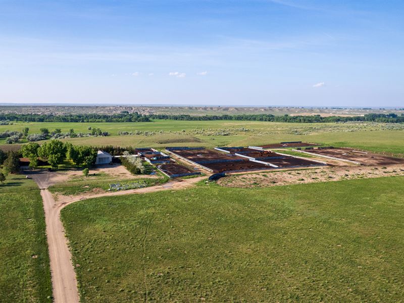 Bluffview Feedlot : Wheatland : Platte County : Wyoming