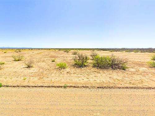 Open and Level Lot for Adventure : Deming : Luna County : New Mexico