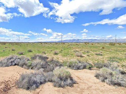 $462.29 Down, Great Land for You : California City : Kern County : California